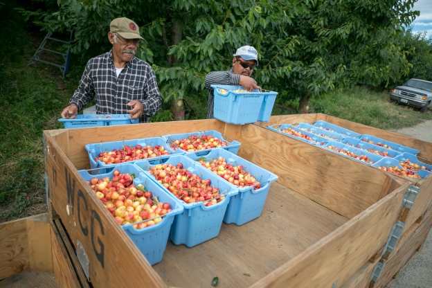 migrant farm workers